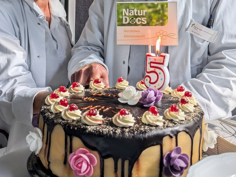 Geburtstagstorte zum Jubiläum - Naturheilkunde Berlin
