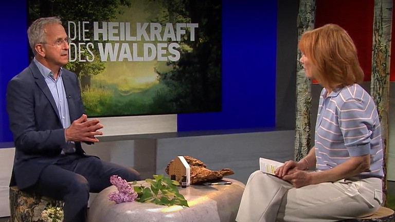 Prof. Andreas Michalsen stellt in der NDR-Visite die neuesten Ergebnisse einer Studie zum Waldbaden vor Prof. Andreas Michalsen stellt in der NDR-Visite die neuesten Ergebnisse einer Studie zum Waldbaden vor