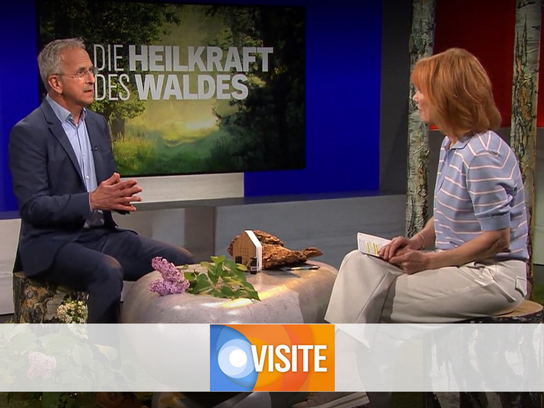 Prof. Andreas Michalsen stellt in der NDR-Visite die neuesten Ergebnisse einer Studie zum Waldbaden vor Prof. Andreas Michalsen stellt in der NDR-Visite die neuesten Ergebnisse einer Studie zum Waldbaden vor